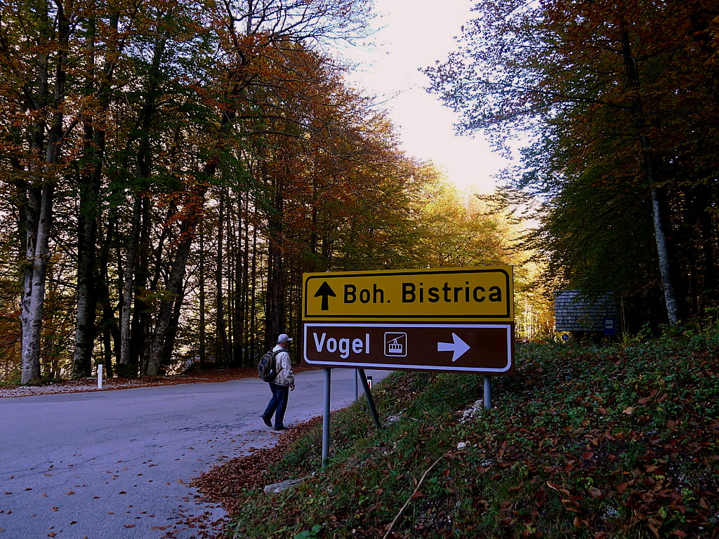 Bohinj Lake